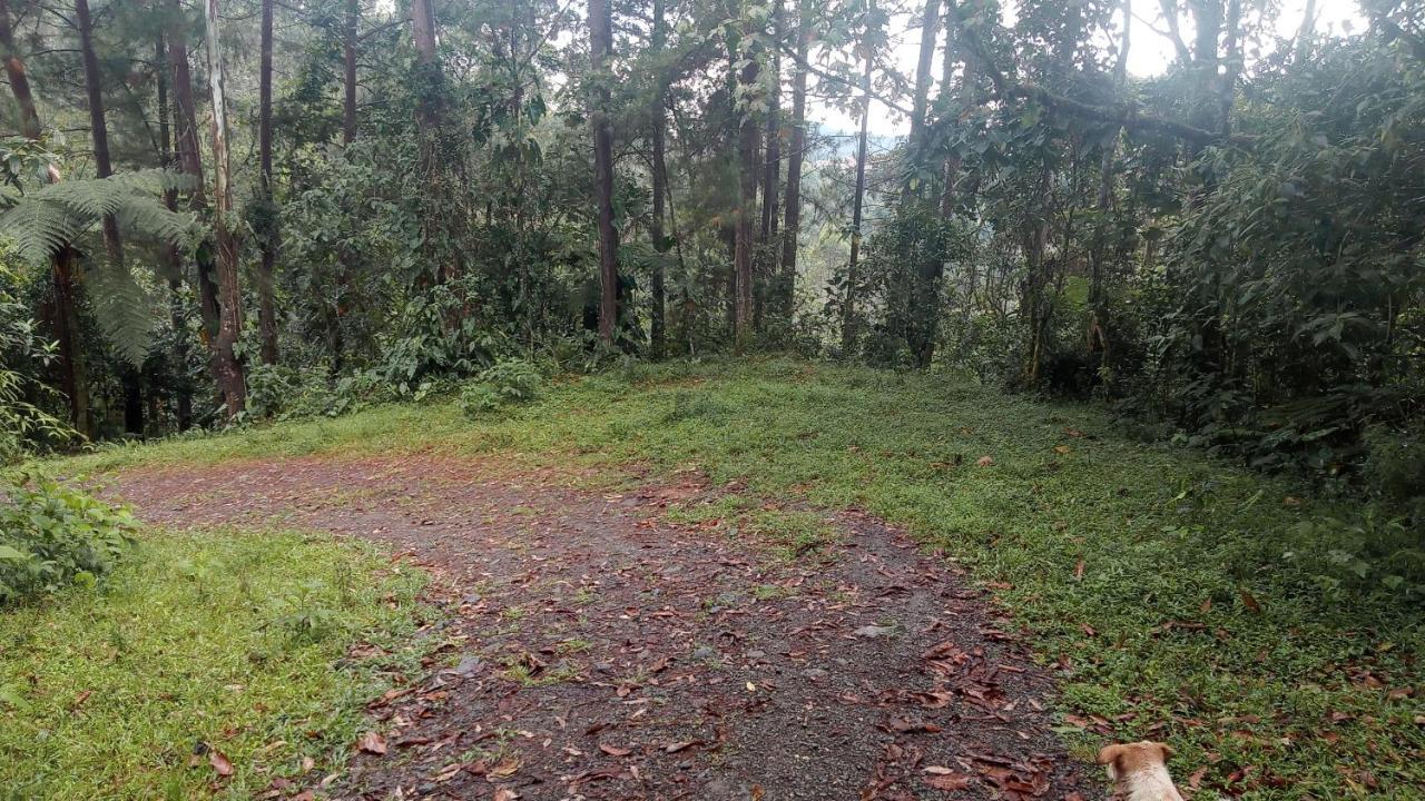 Bosques Del Rio Medellin