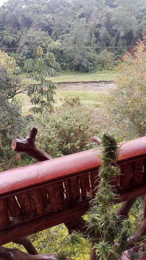 Guest house Bosques Del Rio Medellin