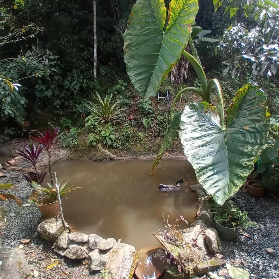 Bosques Del Rio Guest house Medellin